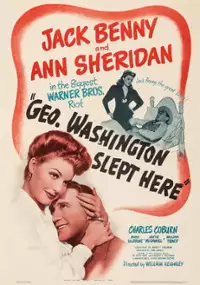 Plakat filmu George Washington spał tutaj