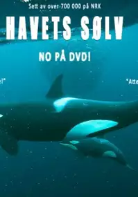 Plakat filmu Havets sølv