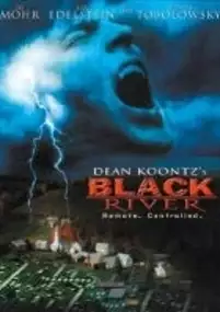 Plakat filmu Miasteczko Black River