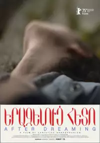 Plakat filmu After Dreaming