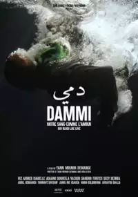 Plakat filmu Dammi