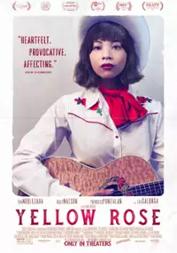 Plakat filmu Żółta róża