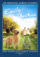 plakat serialu Emilka ze Srebrnego Nowiu