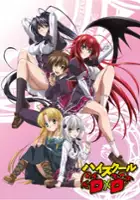 plakat serialu High School DxD