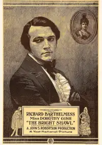 Plakat filmu Jasny szal