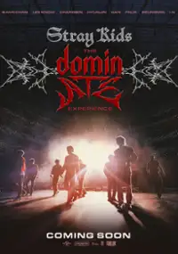 Stray Kids: The dominATE Experience