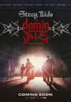 plakat filmu Stray Kids: The dominATE Experience