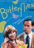 plakat - Butterflies (1978)