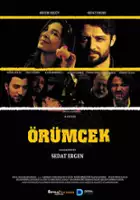 Cumhur Sari / Örümcek