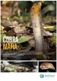 Plakat filmu Mafia kobry
