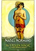 plakat filmu Stolen Magic