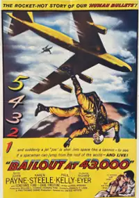 Plakat filmu Bailout at 43,000