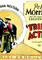 plakat filmu Triple Action