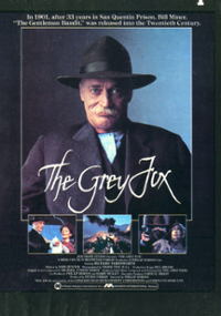 Plakat filmu Szary lis