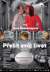 Plakat filmu Przeżyć swoje życie