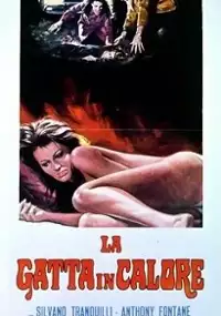Plakat filmu La Gatta in calore