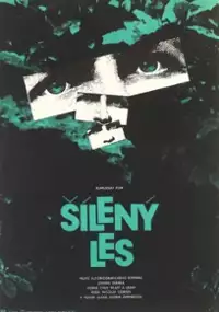 Plakat filmu Padurea nebuna