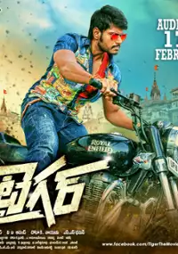 Plakat filmu Tiger