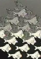 plakat filmu M.C. Escher: Sky and Water 1