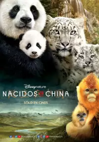 Plakat filmu Urodzone w Chinach