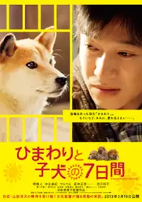 Plakat filmu Himawari to Koinu no Nanokakan