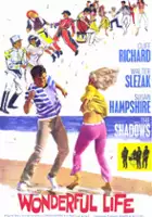 Ronald Cass / Wonderful Life