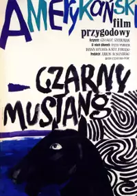 Plakat filmu Czarny mustang