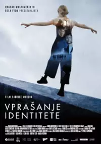 Plakat filmu Il dilemma dell'identità