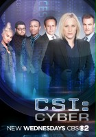 plakat - CSI: Cyber (2015)