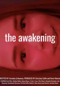 Plakat filmu The Awakening