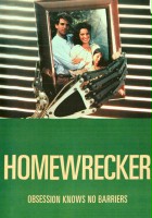 plakat filmu Homewrecker