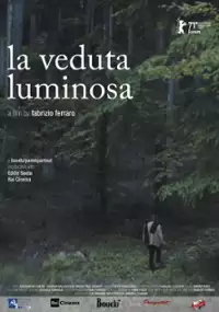 Plakat filmu Olśniewający widok