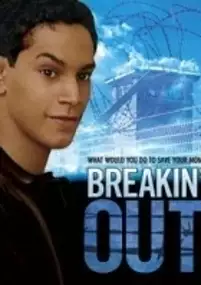 Plakat filmu Grosse bêtise