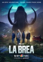 plakat filmu La Brea