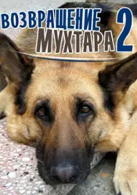 Plakat serialu Vozvrashchenie Mukhtara