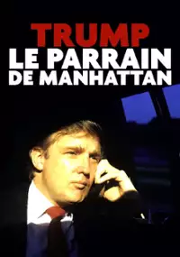 Plakat filmu Donald Trump: anatomia sukcesu