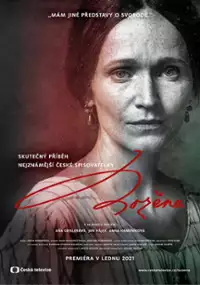 Plakat serialu Božena