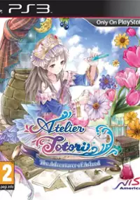 Plakat gry Atelier Totori: The Adventurer of Arland