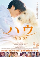 plakat filmu Haw
