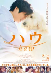 Plakat filmu Haw