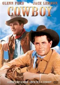 Plakat filmu Kowboj