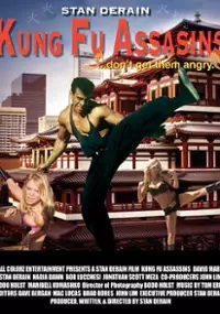 Plakat filmu Kung Fu Assassins