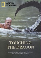 plakat filmu Touching the Dragon