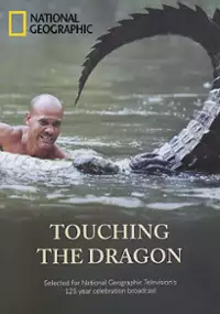 Plakat filmu Touching the Dragon