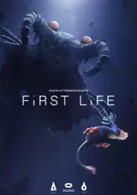 Plakat filmu David Attenborough's First Life