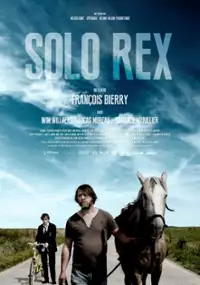 Plakat filmu Solo Rex