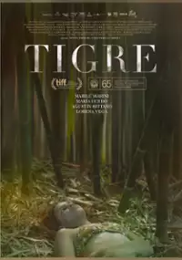 Plakat filmu Tigre