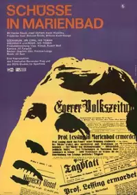 Plakat filmu Výstřely v Mariánských Lázních