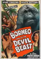 John Rochetti / Borneo