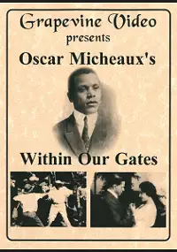 Plakat filmu Within Our Gates
